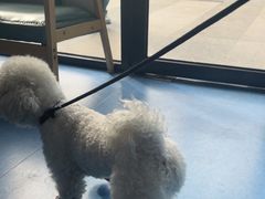 -博特宠物医院24h犬猫全科.骨科·异宠