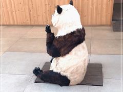 -北京鹿世界主题园