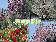-苏州东太湖生态园