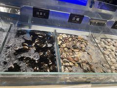 -加餐海鲜自助(宝龙一城店)