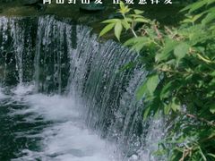 -凤凰山国家森林公园