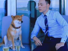 -瑰丽酒店·海吧·天际下午茶·现场DJ·天台酒吧