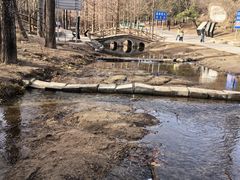 -白水寺森林公园