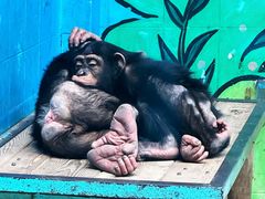 -北京野生动物园