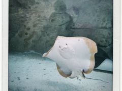 -珠海长隆海洋王国