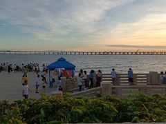 -宝安西湾红树林湿地公园