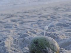 -玫瑰海岸文化旅游度假区