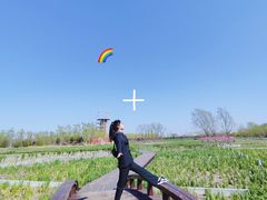 -永定河休闲森林公园