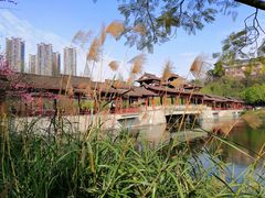 -重庆彩云湖湿地公园