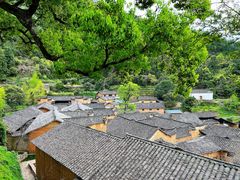 -杨家堂村