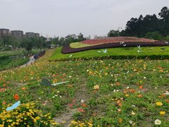 -天府芙蓉园