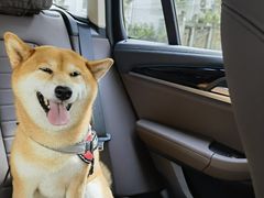 -小陆莲花蟹园农家乐(莲花岛店)