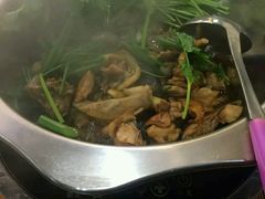 -九道菜有鸡鱼头(石鼓路店)