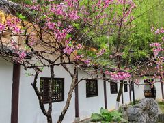-墨池公园
