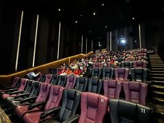 -英皇电影城(英皇集团中心IMAX店)