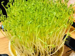 -好彩猪肚鸡(正弘城店)