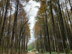 -山王坪喀斯特国家生态公园