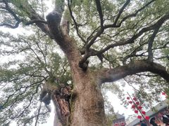-新安江山水画廊风景区
