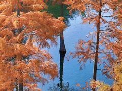 -白鹭湾湿地公园