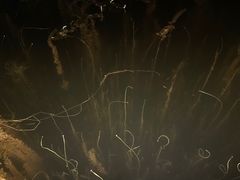 -叁山与肆客服号民宿(龙泉阳光城百工堰公园店)