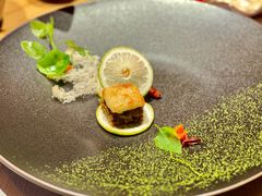 海棠锦绣-叶叶菩提(太原别墅店)