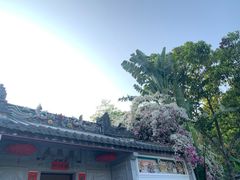 -深圳国际园林花卉博览园