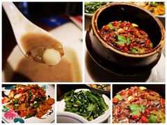 -树厨贵州菜(大十字店)