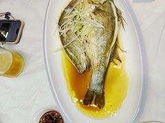 -东夷海鲜巨无霸(东夷小镇店)