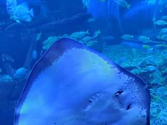 -石林冰雪海洋世界