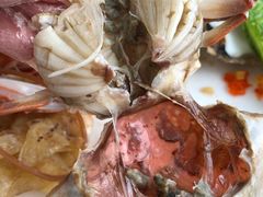 -视界美食自助餐厅·石家庄希尔顿酒店