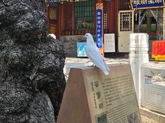-潭柘寺景区