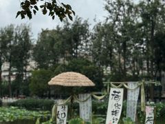 -翠湖公园