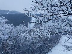 -安吉龙王山风景区