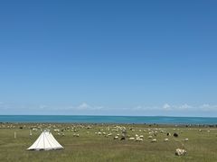 -青海湖国家重点风景名胜区