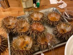 -海胆小馆(东北水饺·春柳店)