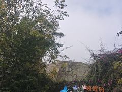 -野象谷景区