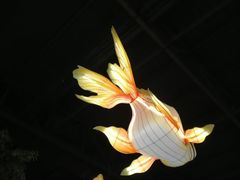-和畅唐山汤