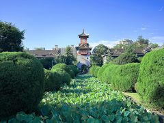 -四川大学(华西校区)