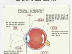 -宝视达眼镜(泌阳店)