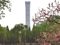 -团结湖公园