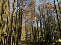 -山王坪喀斯特国家生态公园