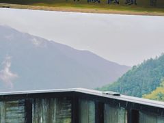 -杨家堂村