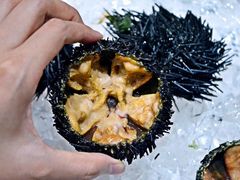 -蚝专家(北滘店)