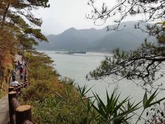 -羚羊峡古栈道森林公园