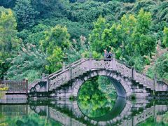 -张坝桂圆林公园