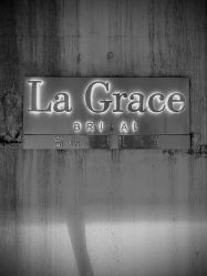 -LA GRACE高端婚纱礼服定制馆