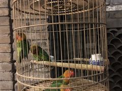 -鱼桥巷·美学川菜