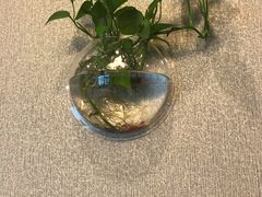 -华兴大酒楼(亿宝大厦店)