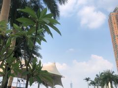 -黄金海岸水上乐园