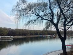 -北陵公园